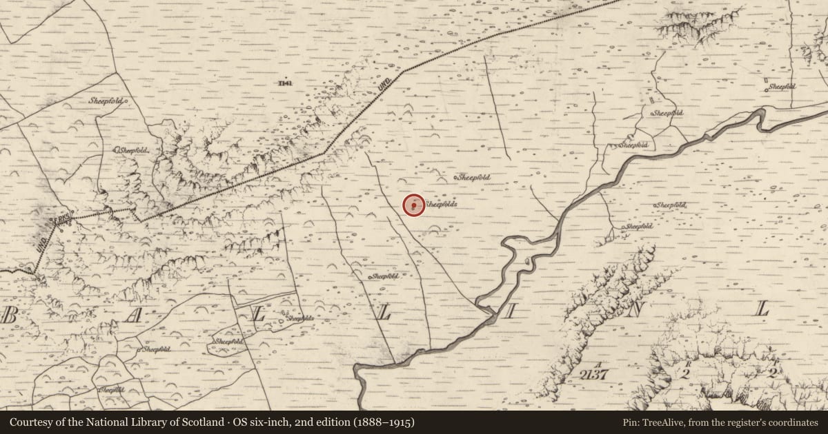 Ordnance Survey six-inch map, 2nd edition (1888–1915) covering the location of Hut site, Baile An Lochaigh, County Kerry, with a pin at the register's coordinates