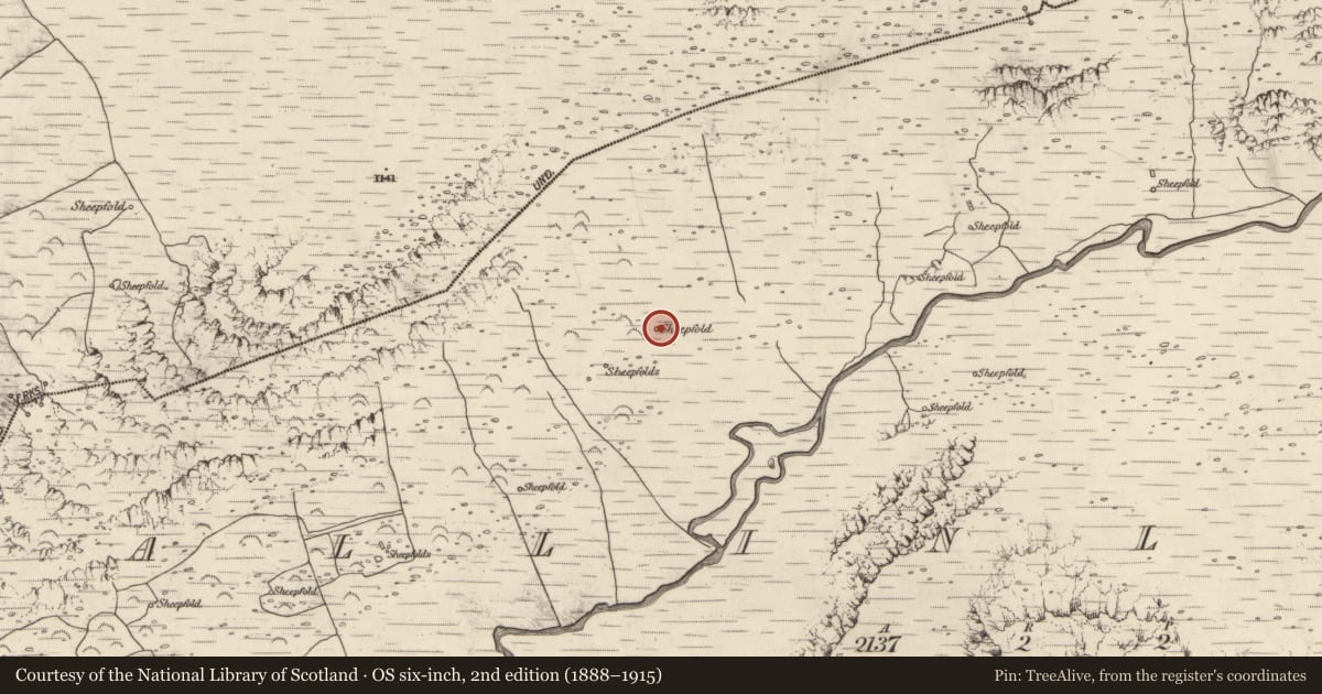 Ordnance Survey six-inch map, 2nd edition (1888–1915) covering the location of Field boundary, Baile An Lochaigh, County Kerry, with a pin at the register's coordinates