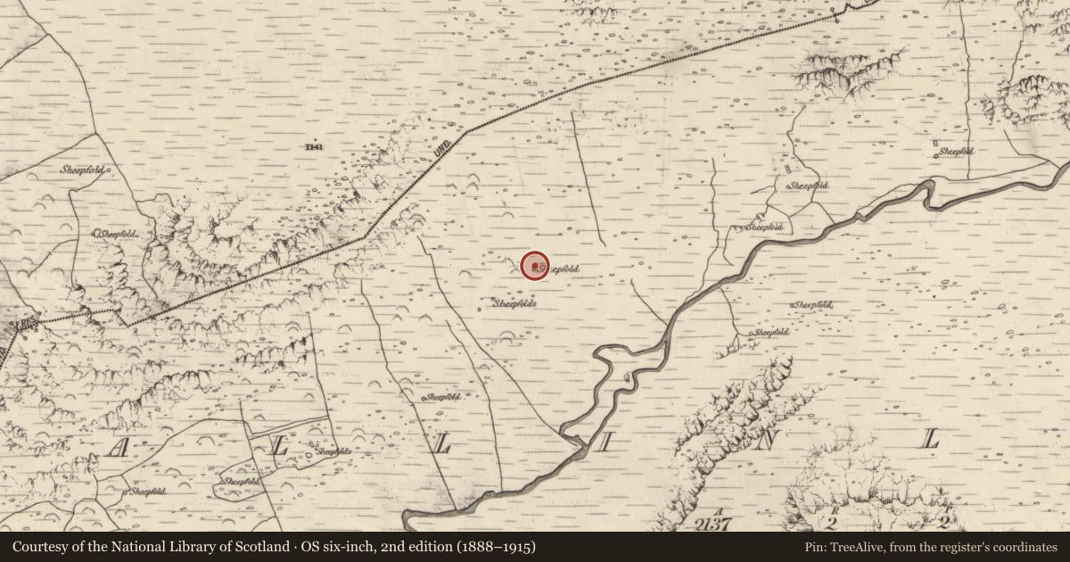Ordnance Survey six-inch map, 2nd edition (1888–1915) covering the location of Hut site, Baile An Lochaigh, County Kerry, with a pin at the register's coordinates