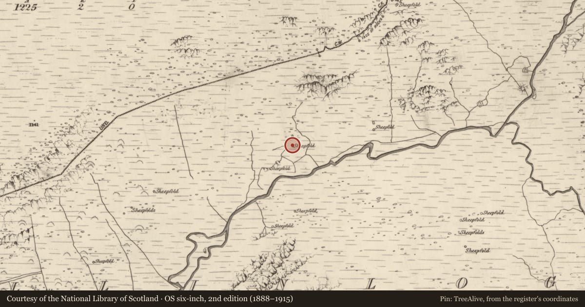 Ordnance Survey six-inch map, 2nd edition (1888–1915) covering the location of Hut site, Baile An Lochaigh, County Kerry, with a pin at the register's coordinates