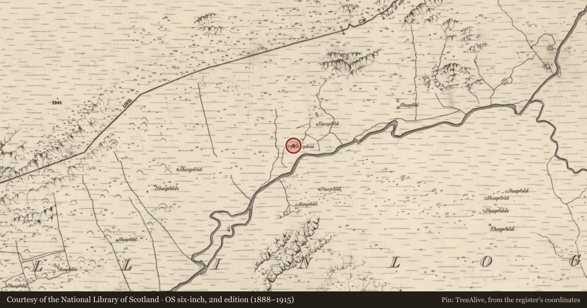 Ordnance Survey six-inch map, 2nd edition (1888–1915) covering the location of Hut site, Baile An Lochaigh, County Kerry, with a pin at the register's coordinates