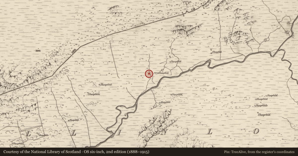 Ordnance Survey six-inch map, 2nd edition (1888–1915) covering the location of Hut site, Baile An Lochaigh, County Kerry, with a pin at the register's coordinates