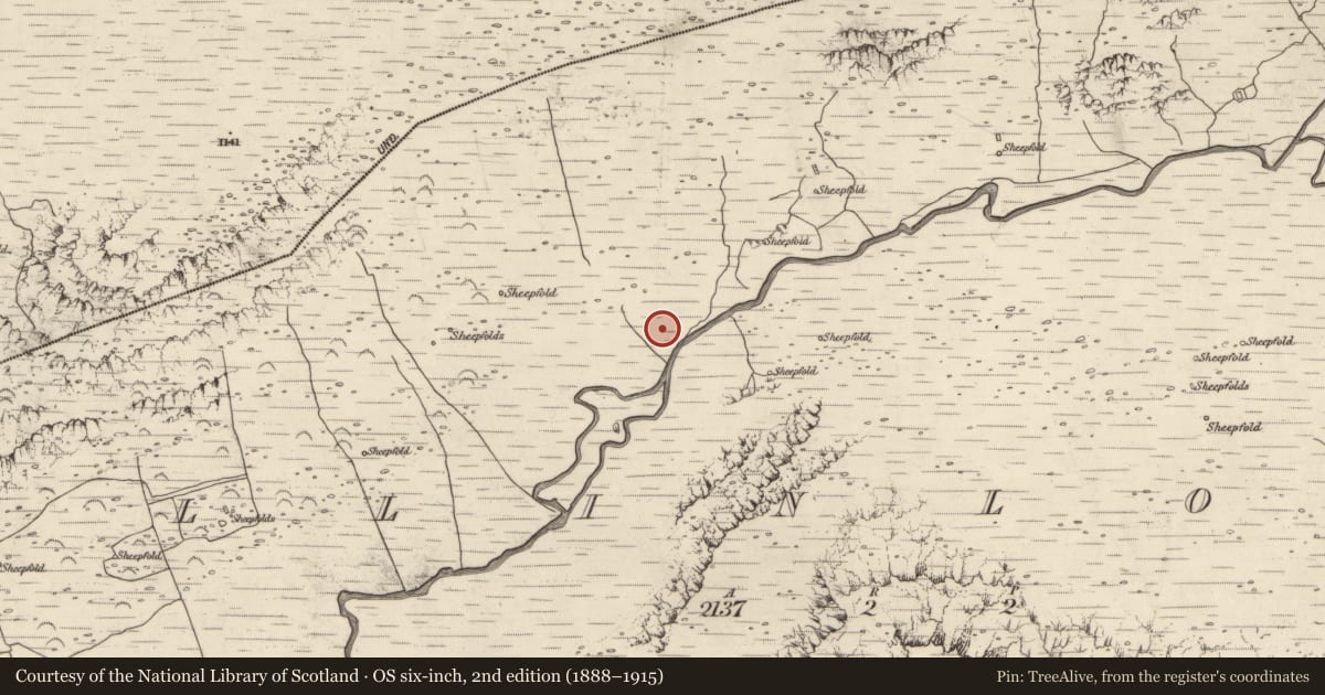 Ordnance Survey six-inch map, 2nd edition (1888–1915) covering the location of Sheepfold, Baile An Lochaigh, County Kerry, with a pin at the register's coordinates