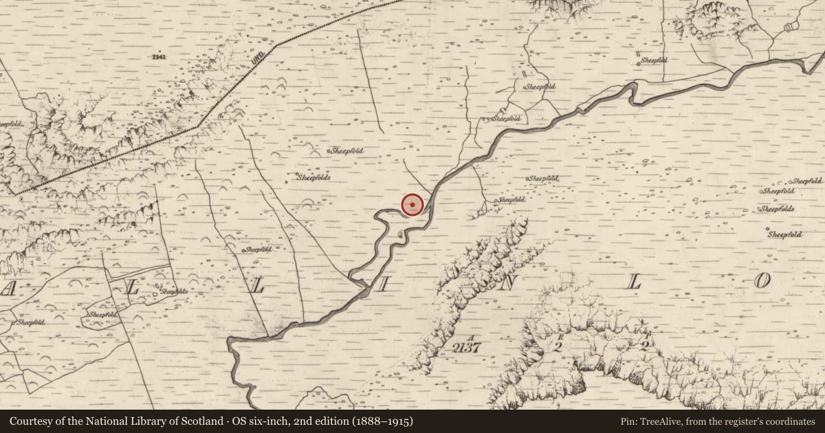 Ordnance Survey six-inch map, 2nd edition (1888–1915) covering the location of Sheepfold, Baile An Lochaigh, County Kerry, with a pin at the register's coordinates