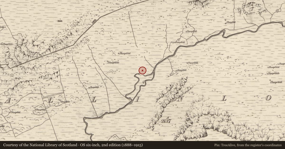 Ordnance Survey six-inch map, 2nd edition (1888–1915) covering the location of Turf stand, Baile An Lochaigh, County Kerry, with a pin at the register's coordinates