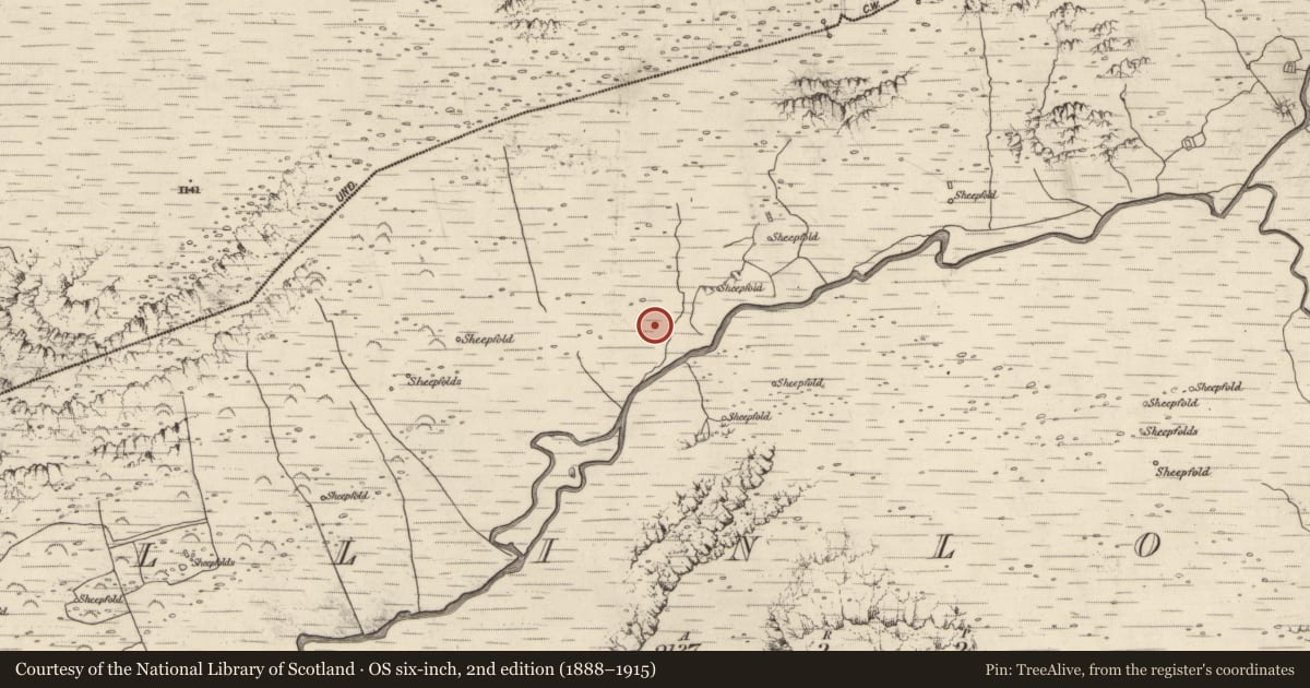 Ordnance Survey six-inch map, 2nd edition (1888–1915) covering the location of Field system, Baile An Lochaigh, County Kerry, with a pin at the register's coordinates