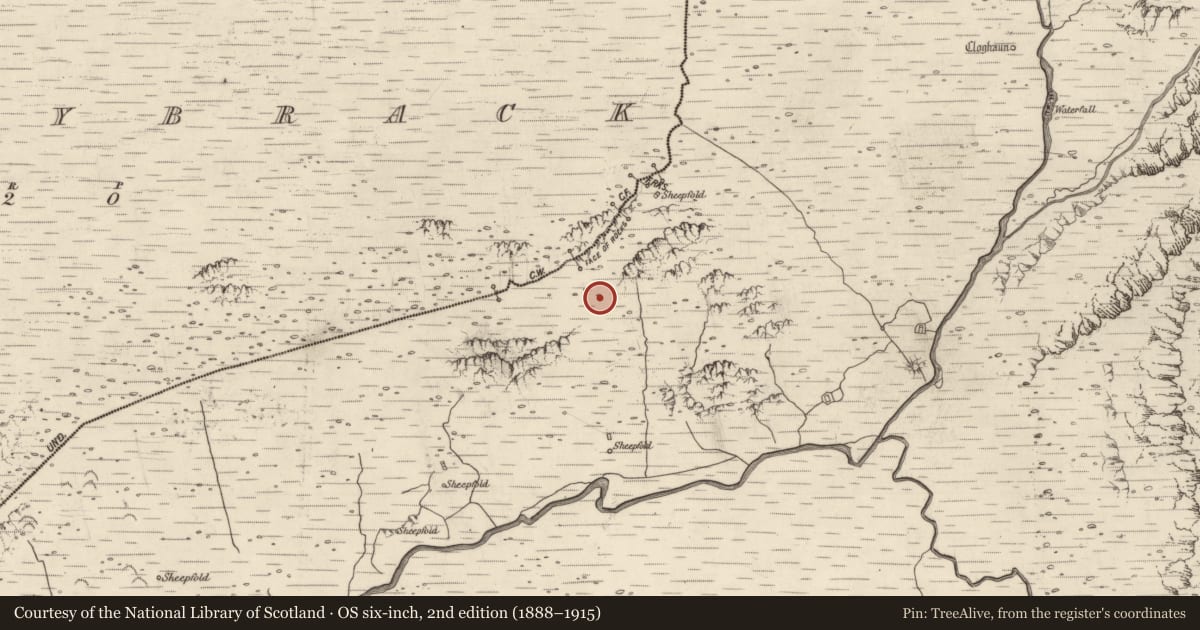 Ordnance Survey six-inch map, 2nd edition (1888–1915) covering the location of Hut site, Baile An Lochaigh, County Kerry, with a pin at the register's coordinates