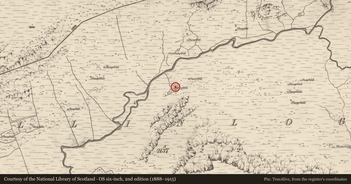 Ordnance Survey six-inch map, 2nd edition (1888–1915) covering the location of Hut site, Baile An Lochaigh, County Kerry, with a pin at the register's coordinates
