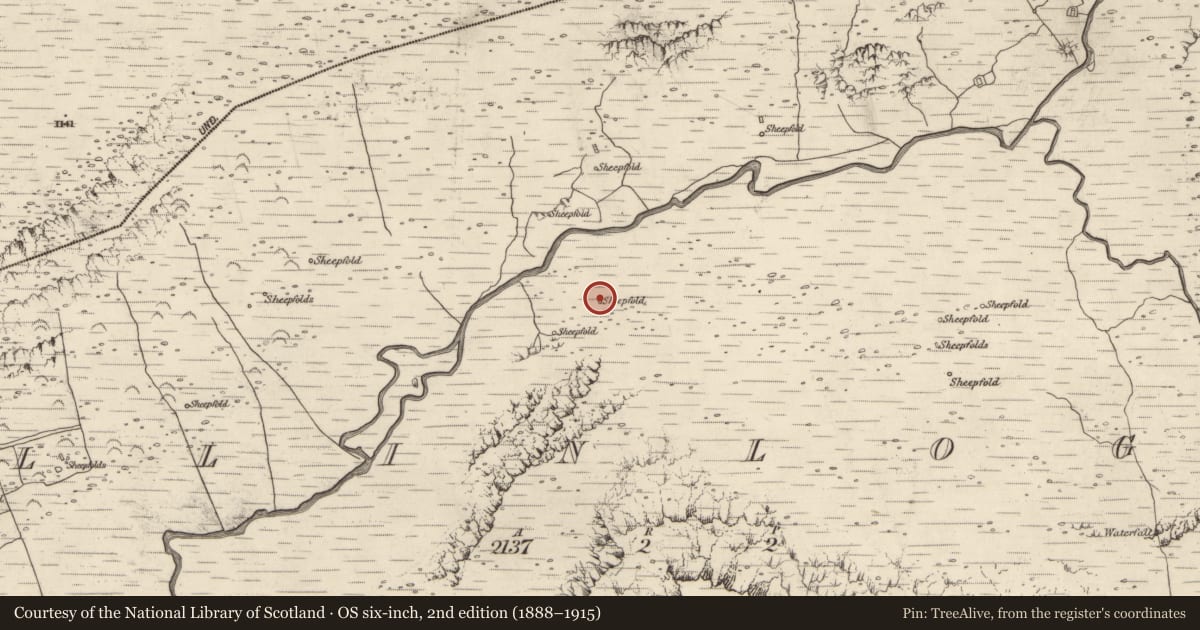 Ordnance Survey six-inch map, 2nd edition (1888–1915) covering the location of Hut site, Baile An Lochaigh, County Kerry, with a pin at the register's coordinates