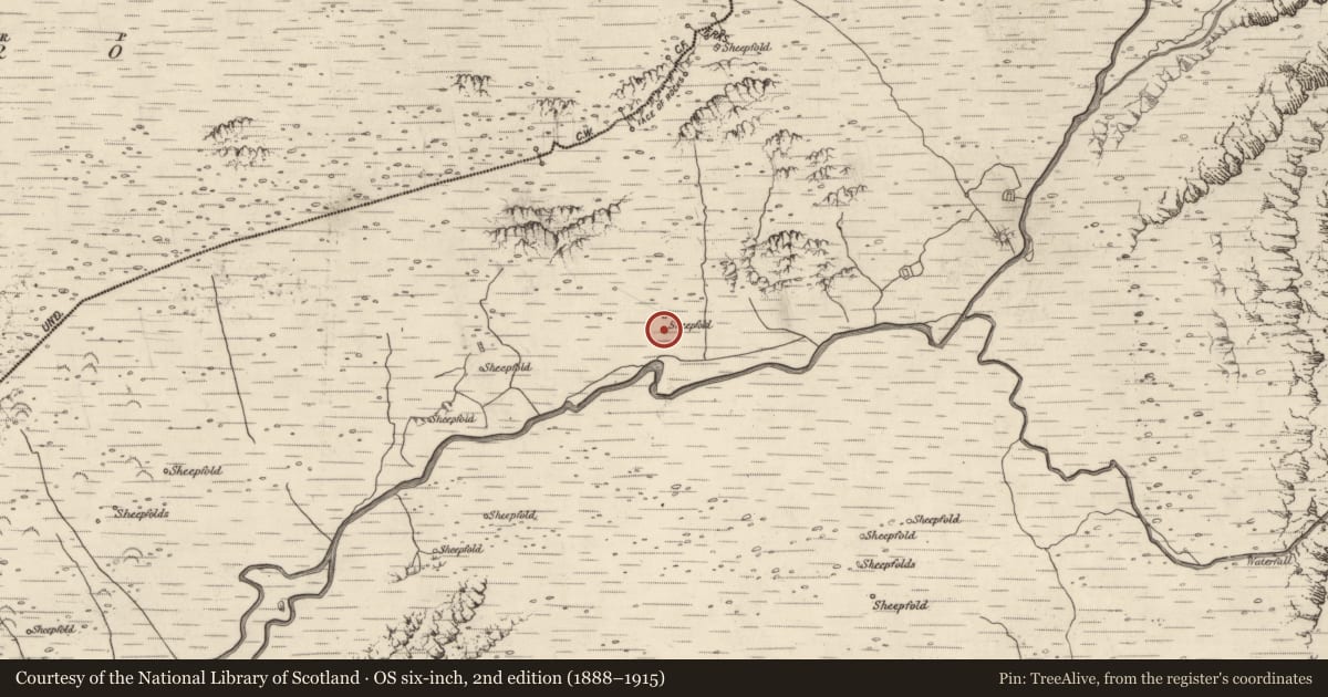 Ordnance Survey six-inch map, 2nd edition (1888–1915) covering the location of Hut site, Baile An Lochaigh, County Kerry, with a pin at the register's coordinates