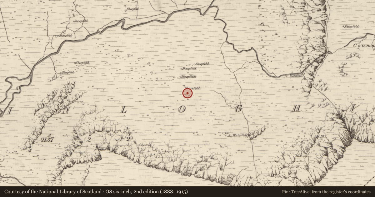 Ordnance Survey six-inch map, 2nd edition (1888–1915) covering the location of Hut site, Baile An Lochaigh, County Kerry, with a pin at the register's coordinates