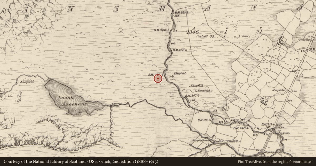 Ordnance Survey six-inch map, 2nd edition (1888–1915) covering the location of Hut site, Gleann Seanchoirp, County Kerry, with a pin at the register's coordinates