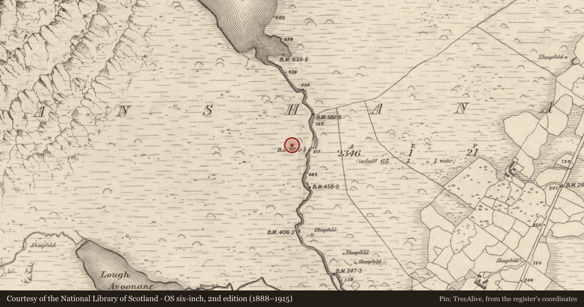 Ordnance Survey six-inch map, 2nd edition (1888–1915) covering the location of Hut site, Gleann Seanchoirp, County Kerry, with a pin at the register's coordinates