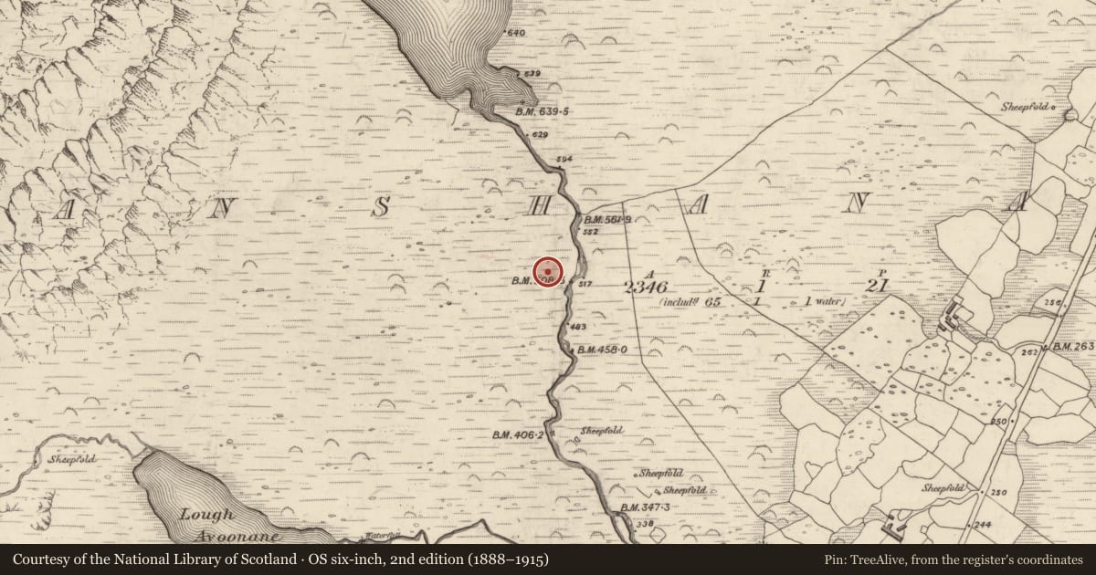 Ordnance Survey six-inch map, 2nd edition (1888–1915) covering the location of Hut site, Gleann Seanchoirp, County Kerry, with a pin at the register's coordinates