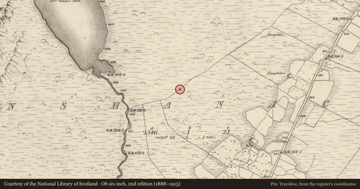 Ordnance Survey six-inch map, 2nd edition (1888–1915) covering the location of Field boundary, Gleann Seanchoirp, County Kerry, with a pin at the register's coordinates