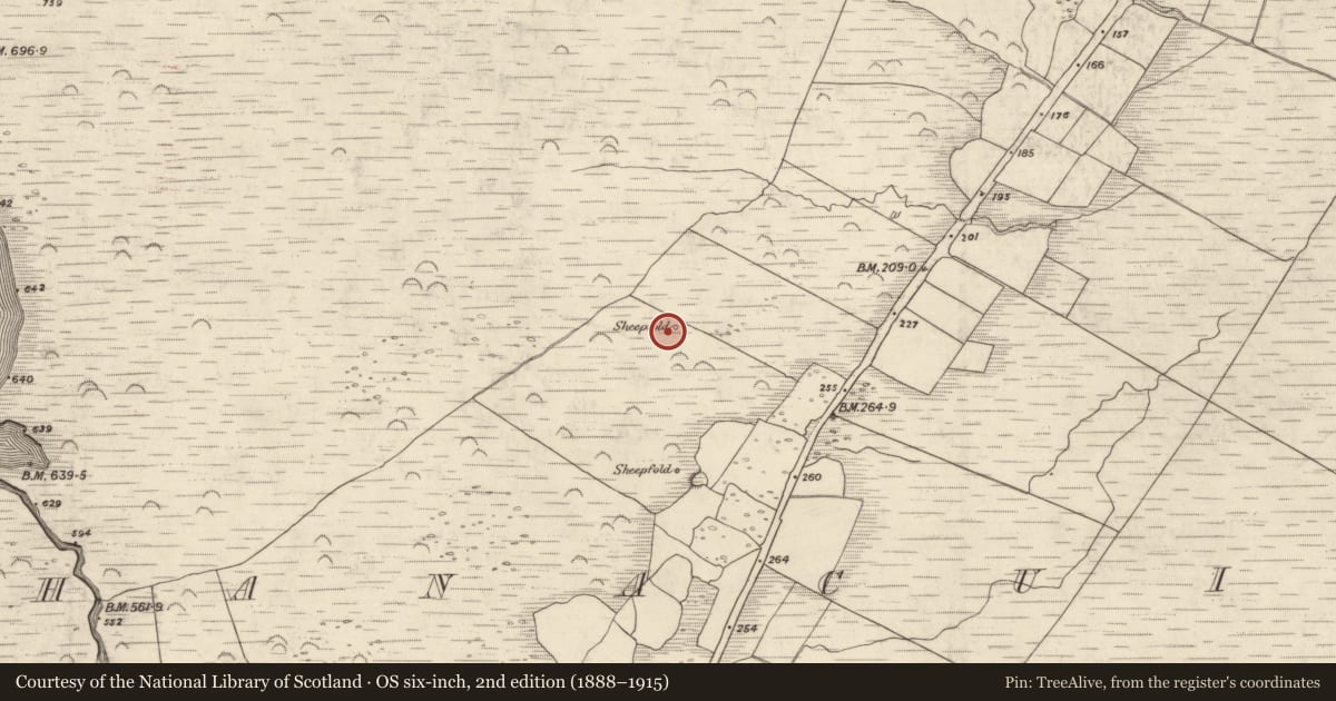 Ordnance Survey six-inch map, 2nd edition (1888–1915) covering the location of Hut site, Gleann Seanchoirp, County Kerry, with a pin at the register's coordinates