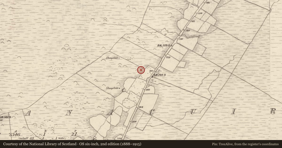 Ordnance Survey six-inch map, 2nd edition (1888–1915) covering the location of Hut site, Gleann Seanchoirp, County Kerry, with a pin at the register's coordinates