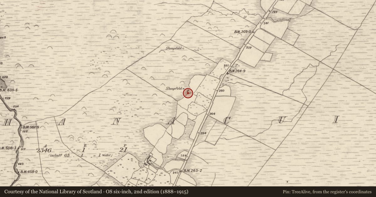 Ordnance Survey six-inch map, 2nd edition (1888–1915) covering the location of Ringfort - rath, Gleann Seanchoirp, County Kerry, with a pin at the register's coordinates