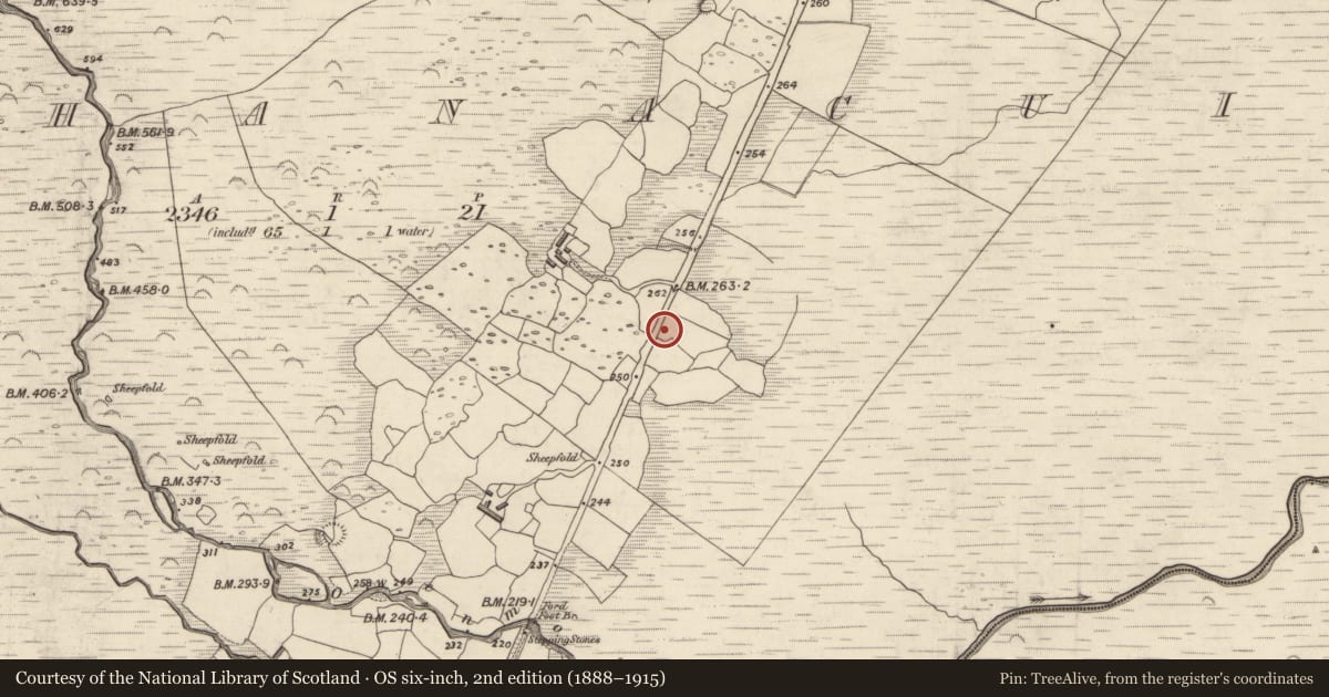 Ordnance Survey six-inch map, 2nd edition (1888–1915) covering the location of Souterrain, Gleann Seanchoirp, County Kerry, with a pin at the register's coordinates