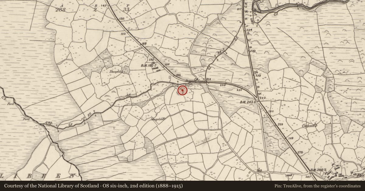 Ordnance Survey six-inch map, 2nd edition (1888–1915) covering the location of Ringfort - rath, Baile An Lochaigh, County Kerry, with a pin at the register's coordinates