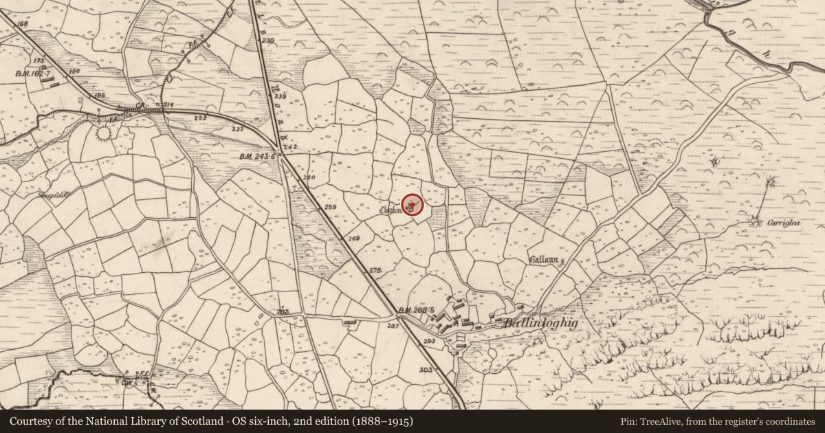 Ordnance Survey six-inch map, 2nd edition (1888–1915) covering the location of Hut site, Baile An Lochaigh, County Kerry, with a pin at the register's coordinates