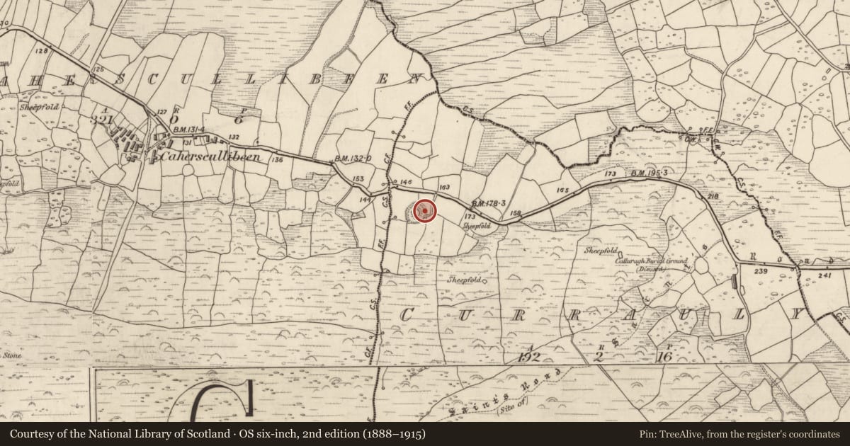 Ordnance Survey six-inch map, 2nd edition (1888–1915) covering the location of Hut site, Corr Áille, County Kerry, with a pin at the register's coordinates