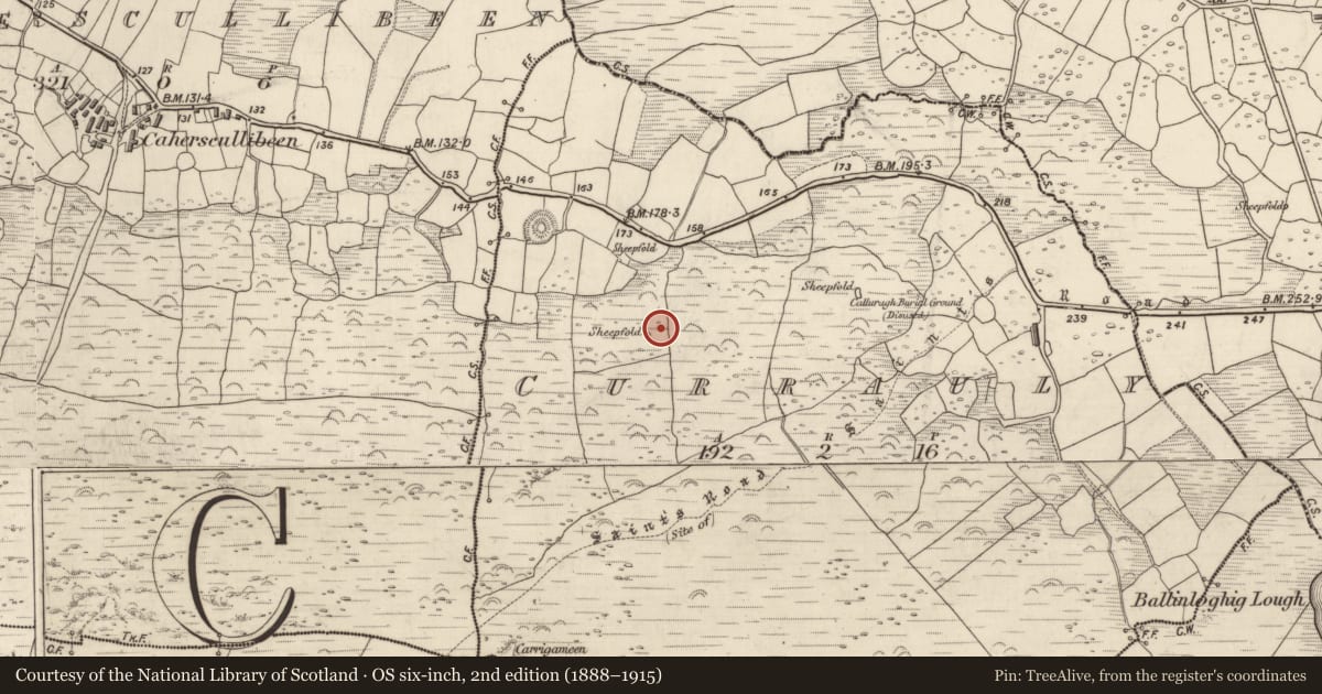 Ordnance Survey six-inch map, 2nd edition (1888–1915) covering the location of Hut site, Corr Áille, County Kerry, with a pin at the register's coordinates