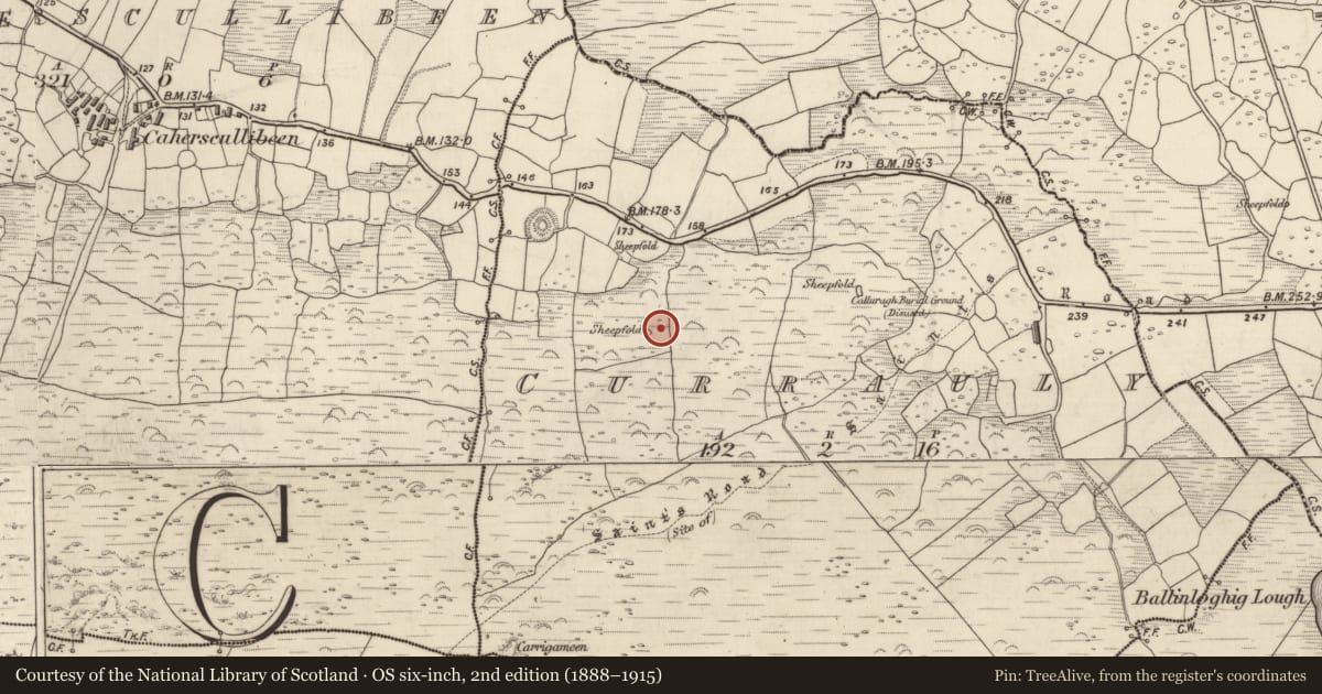 Ordnance Survey six-inch map, 2nd edition (1888–1915) covering the location of Hut site, Corr Áille, County Kerry, with a pin at the register's coordinates