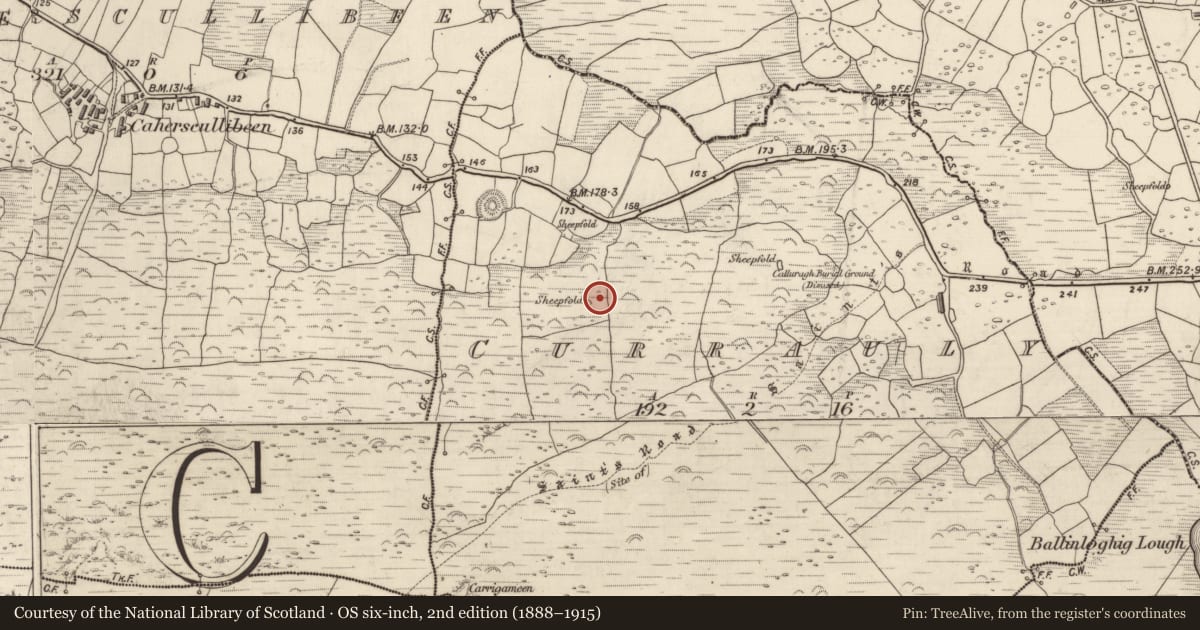 Ordnance Survey six-inch map, 2nd edition (1888–1915) covering the location of Enclosure, Corr Áille, County Kerry, with a pin at the register's coordinates