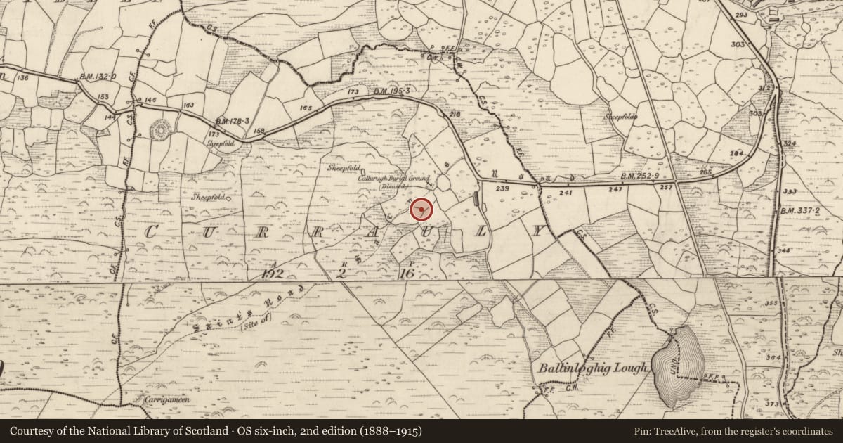 Ordnance Survey six-inch map, 2nd edition (1888–1915) covering the location of Road - road/trackway, County Kerry, with a pin at the register's coordinates