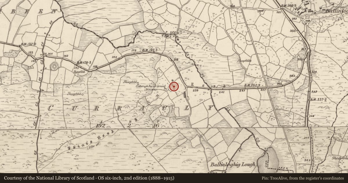 Ordnance Survey six-inch map, 2nd edition (1888–1915) covering the location of Children's burial ground, Corr Áille, County Kerry, with a pin at the register's coordinates