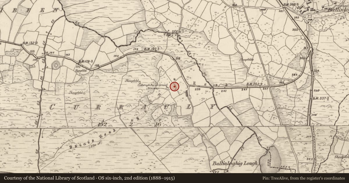 Ordnance Survey six-inch map, 2nd edition (1888–1915) covering the location of Clochan, Corr Áille, County Kerry, with a pin at the register's coordinates