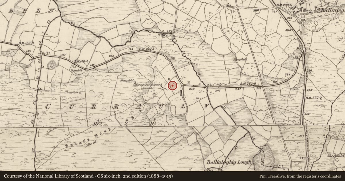 Ordnance Survey six-inch map, 2nd edition (1888–1915) covering the location of Cross-slab, Corr Áille, County Kerry, with a pin at the register's coordinates