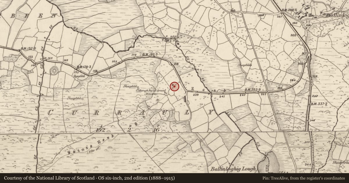 Ordnance Survey six-inch map, 2nd edition (1888–1915) covering the location of Hut site, Corr Áille, County Kerry, with a pin at the register's coordinates