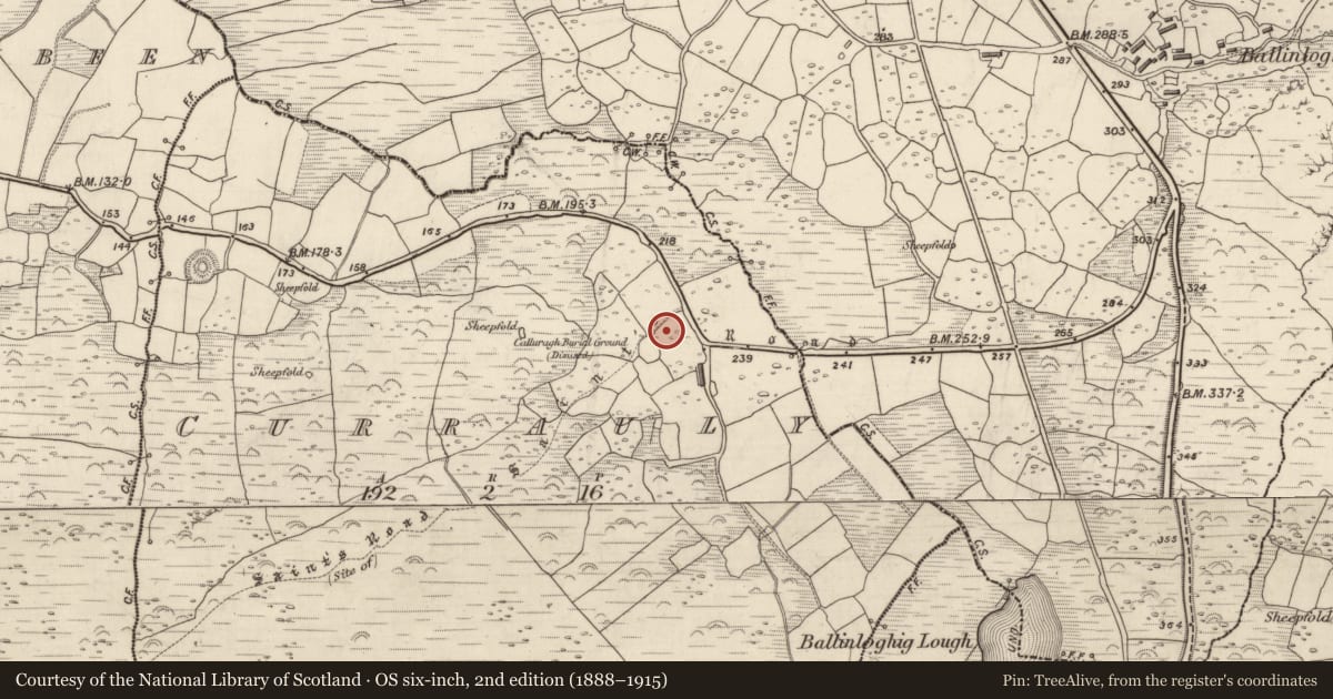 Ordnance Survey six-inch map, 2nd edition (1888–1915) covering the location of Hut site, Corr Áille, County Kerry, with a pin at the register's coordinates