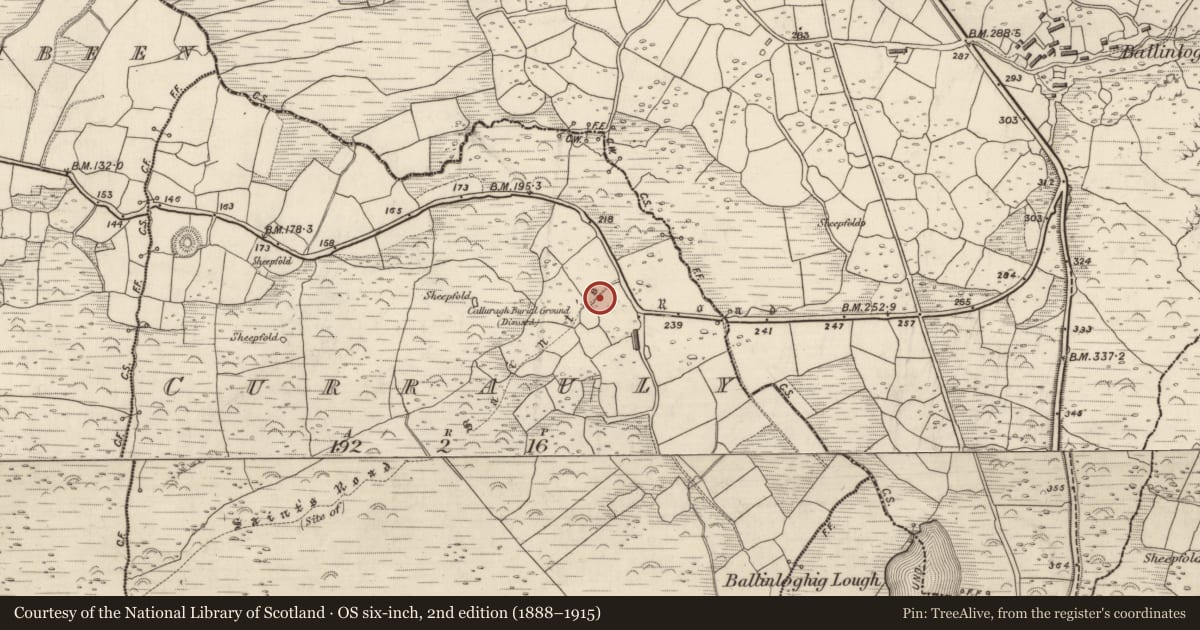 Ordnance Survey six-inch map, 2nd edition (1888–1915) covering the location of Souterrain, Corr Áille, County Kerry, with a pin at the register's coordinates