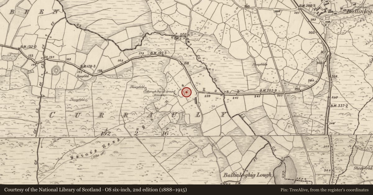 Ordnance Survey six-inch map, 2nd edition (1888–1915) covering the location of Leacht, Corr Áille, County Kerry, with a pin at the register's coordinates