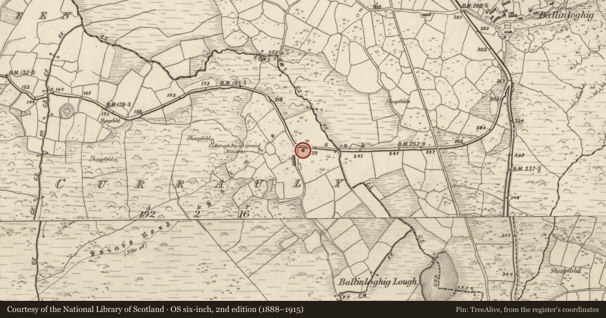 Ordnance Survey six-inch map, 2nd edition (1888–1915) covering the location of Clochan, Corr Áille, County Kerry, with a pin at the register's coordinates
