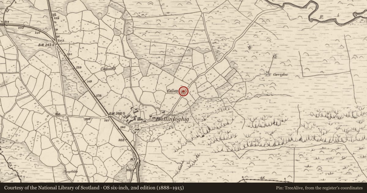Ordnance Survey six-inch map, 2nd edition (1888–1915) covering the location of Standing stone, Baile An Lochaigh, County Kerry, with a pin at the register's coordinates