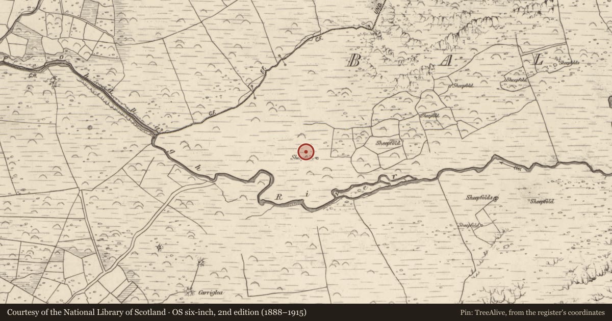 Ordnance Survey six-inch map, 2nd edition (1888–1915) covering the location of Hut site, Baile An Lochaigh, County Kerry, with a pin at the register's coordinates