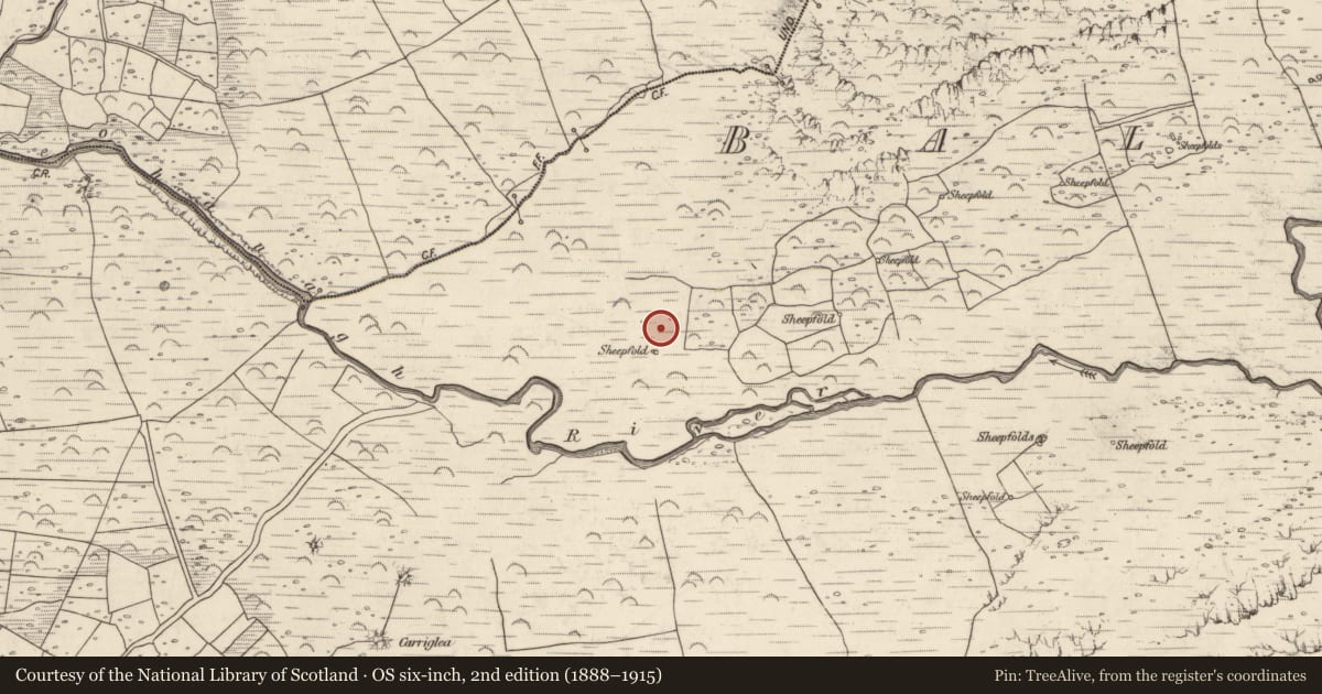 Ordnance Survey six-inch map, 2nd edition (1888–1915) covering the location of Hut site, Baile An Lochaigh, County Kerry, with a pin at the register's coordinates