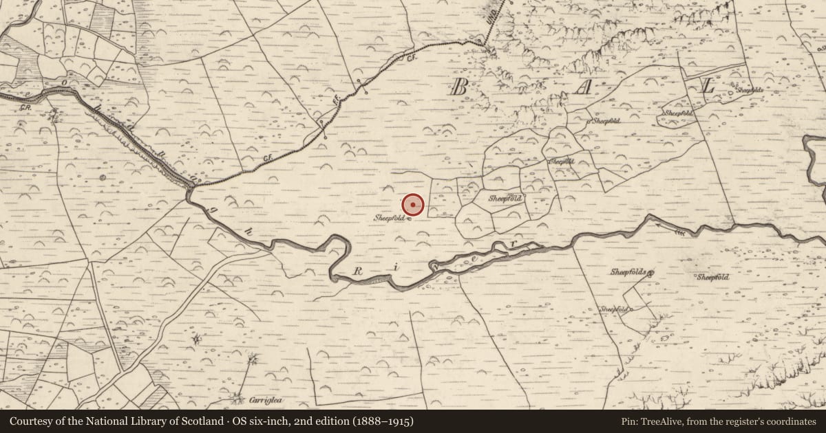 Ordnance Survey six-inch map, 2nd edition (1888–1915) covering the location of Souterrain, Baile An Lochaigh, County Kerry, with a pin at the register's coordinates