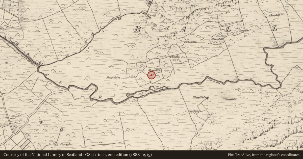 Ordnance Survey six-inch map, 2nd edition (1888–1915) covering the location of Field boundary, Baile An Lochaigh, County Kerry, with a pin at the register's coordinates