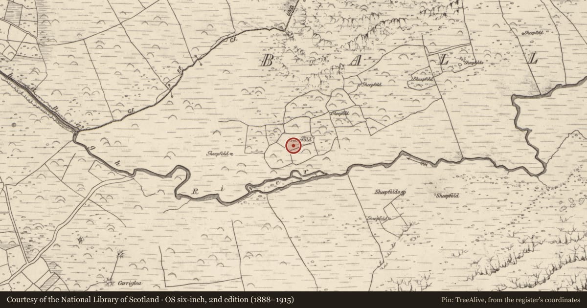 Ordnance Survey six-inch map, 2nd edition (1888–1915) covering the location of Hut site, Baile An Lochaigh, County Kerry, with a pin at the register's coordinates
