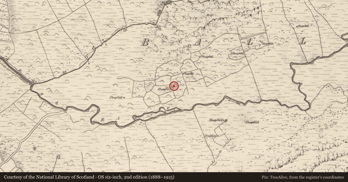 Ordnance Survey six-inch map, 2nd edition (1888–1915) covering the location of Field boundary, Baile An Lochaigh, County Kerry, with a pin at the register's coordinates