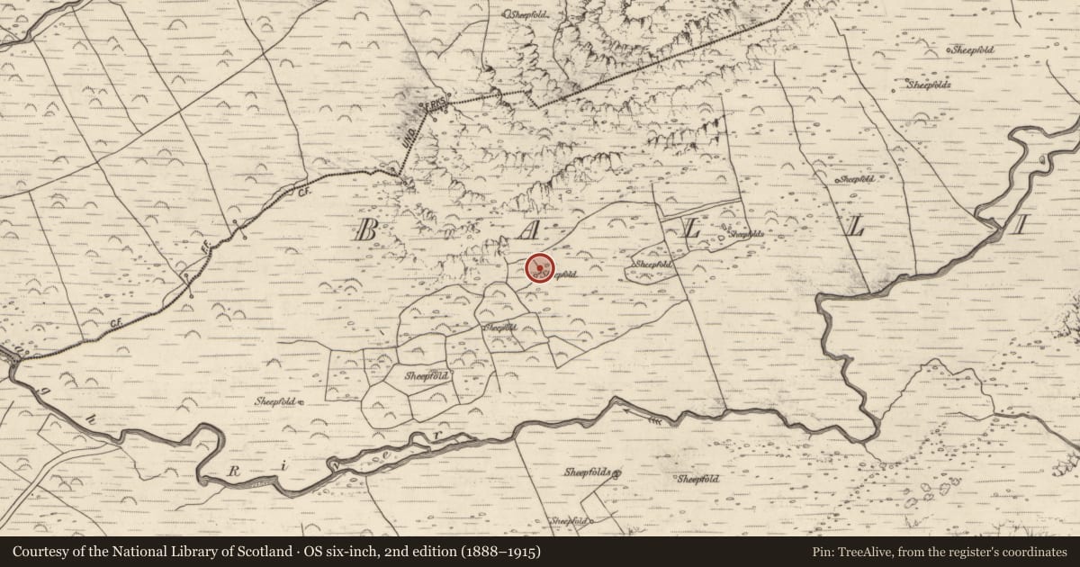 Ordnance Survey six-inch map, 2nd edition (1888–1915) covering the location of Hut site, Baile An Lochaigh, County Kerry, with a pin at the register's coordinates