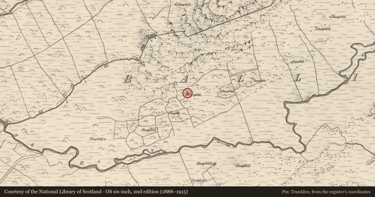 Ordnance Survey six-inch map, 2nd edition (1888–1915) covering the location of Field boundary, Baile An Lochaigh, County Kerry, with a pin at the register's coordinates