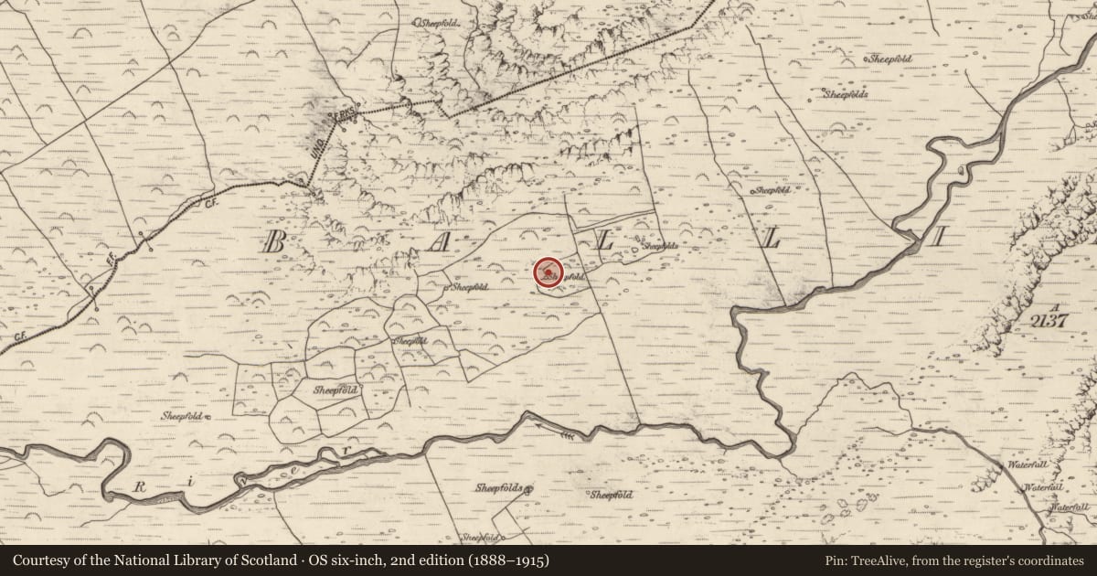 Ordnance Survey six-inch map, 2nd edition (1888–1915) covering the location of Hut site, Baile An Lochaigh, County Kerry, with a pin at the register's coordinates