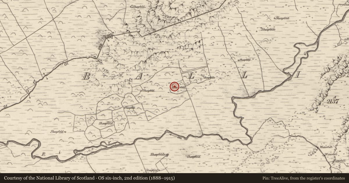 Ordnance Survey six-inch map, 2nd edition (1888–1915) covering the location of Hut site, Baile An Lochaigh, County Kerry, with a pin at the register's coordinates