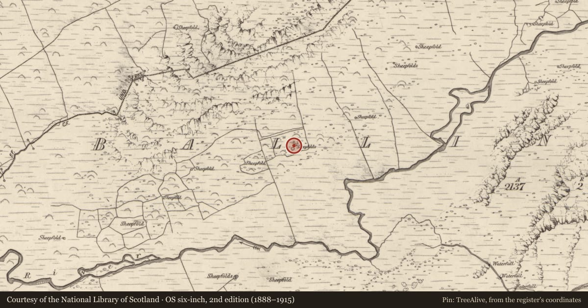 Ordnance Survey six-inch map, 2nd edition (1888–1915) covering the location of Enclosure, Baile An Lochaigh, County Kerry, with a pin at the register's coordinates